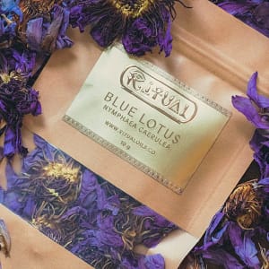 Blue Lotus Flowers
